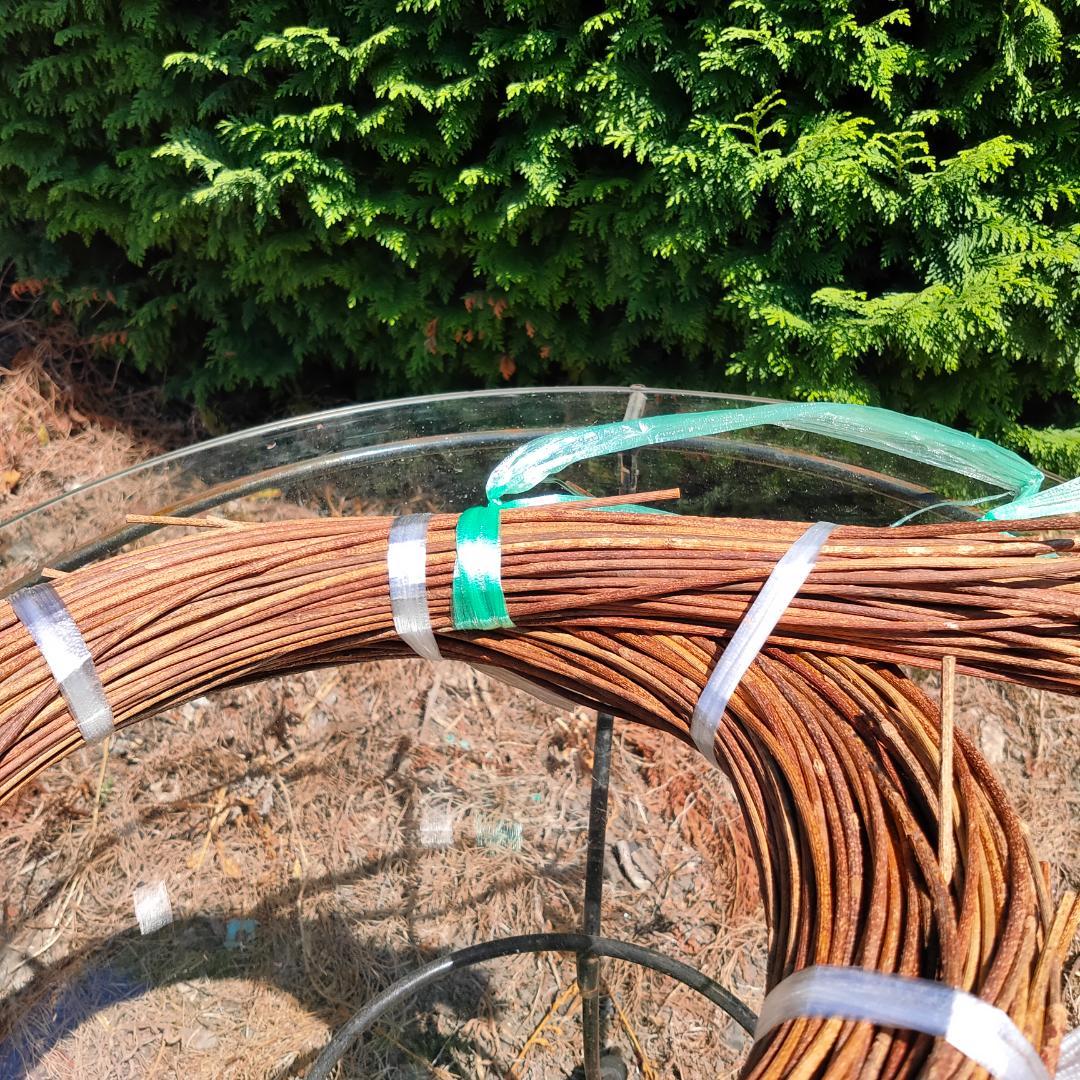 青森県岩木山採取　あけび蔓　150cm～　1kg