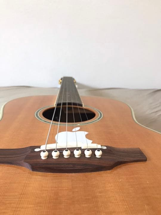 Takamine エレアコ　PTU441N ピースマンさん専用