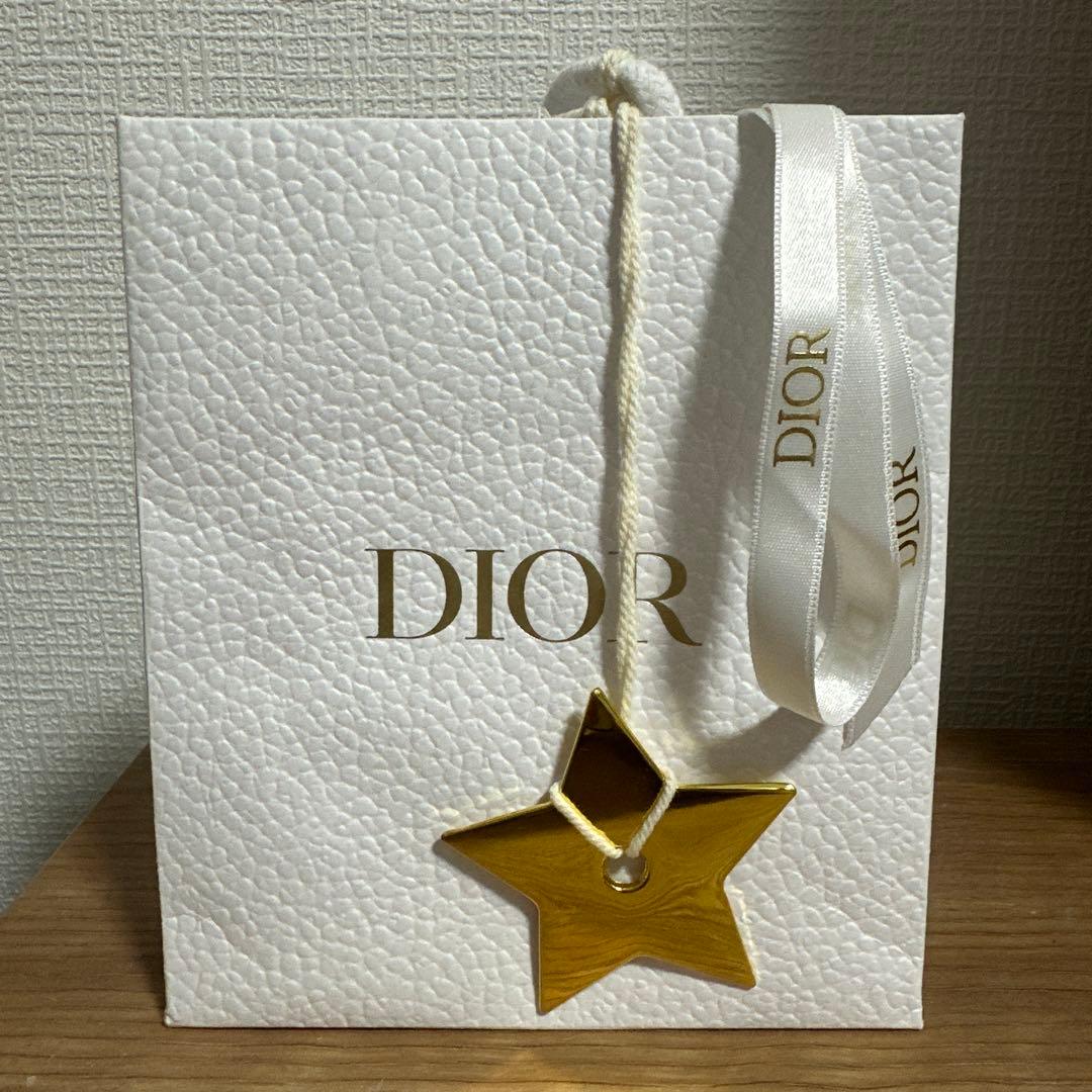 【美品】ディオール CD Navyスタッドピアス シルバー