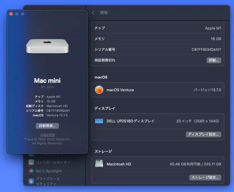 Macデスクトップ Apple Mac mini (M1, 2020) 16GB SSD 256GB