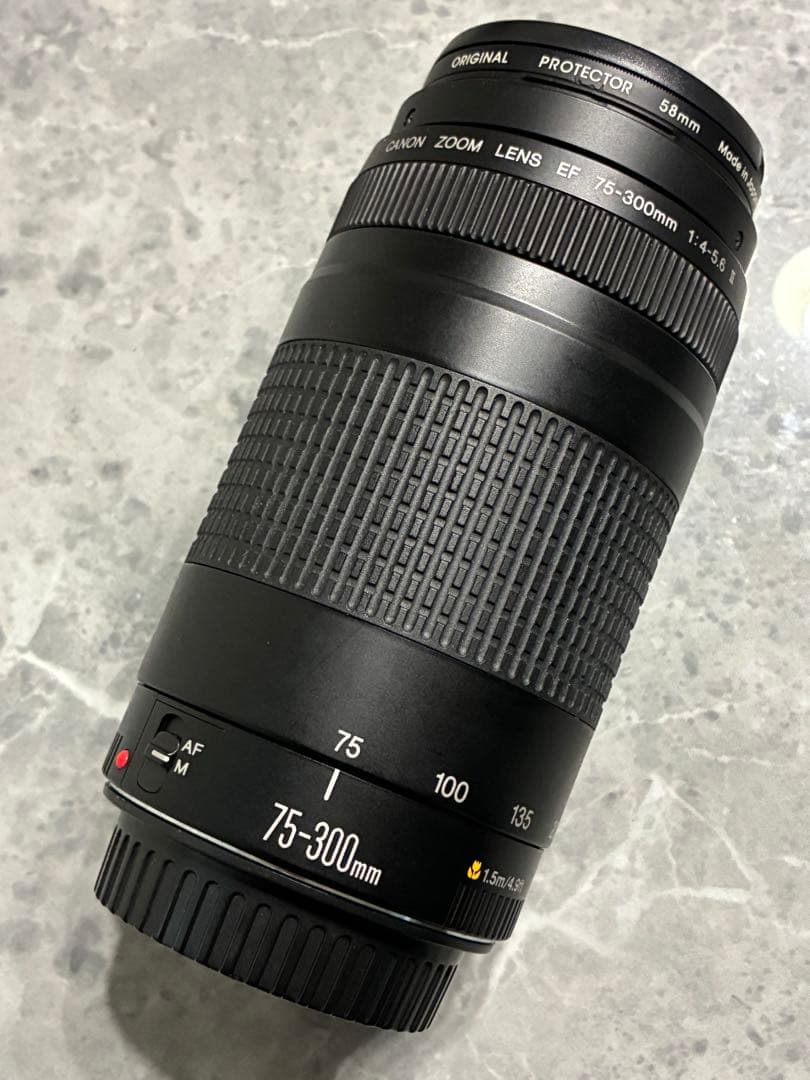⭐️美品⭐️Canon EF 75-300mm F/4-5.6 II 望遠レンズ