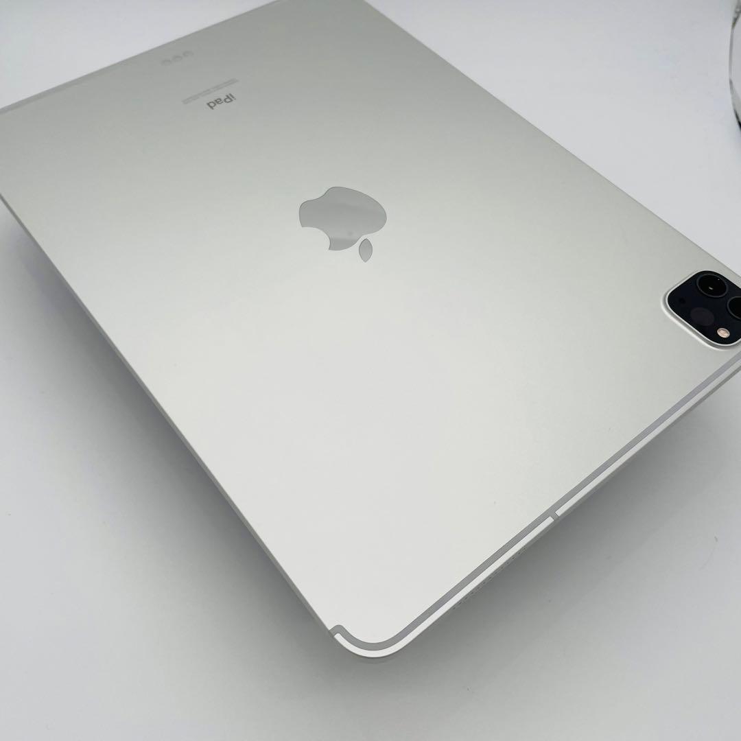 A 100% iPad Pro 11インチ 第2世代　512GB セルラー