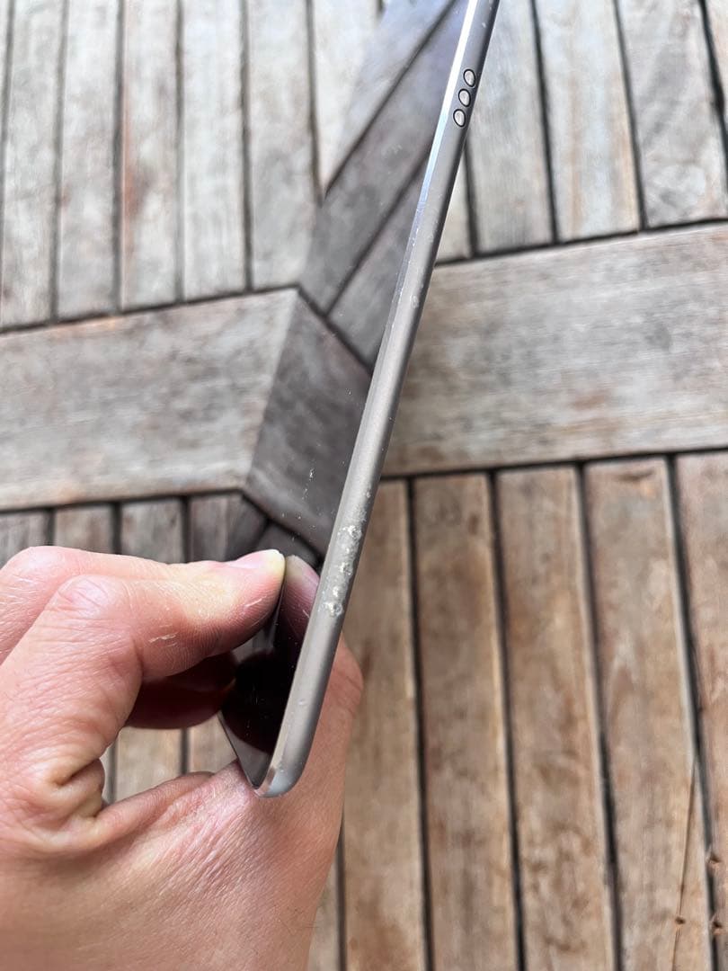 Apple iPad Pro (9.7インチ) 本体