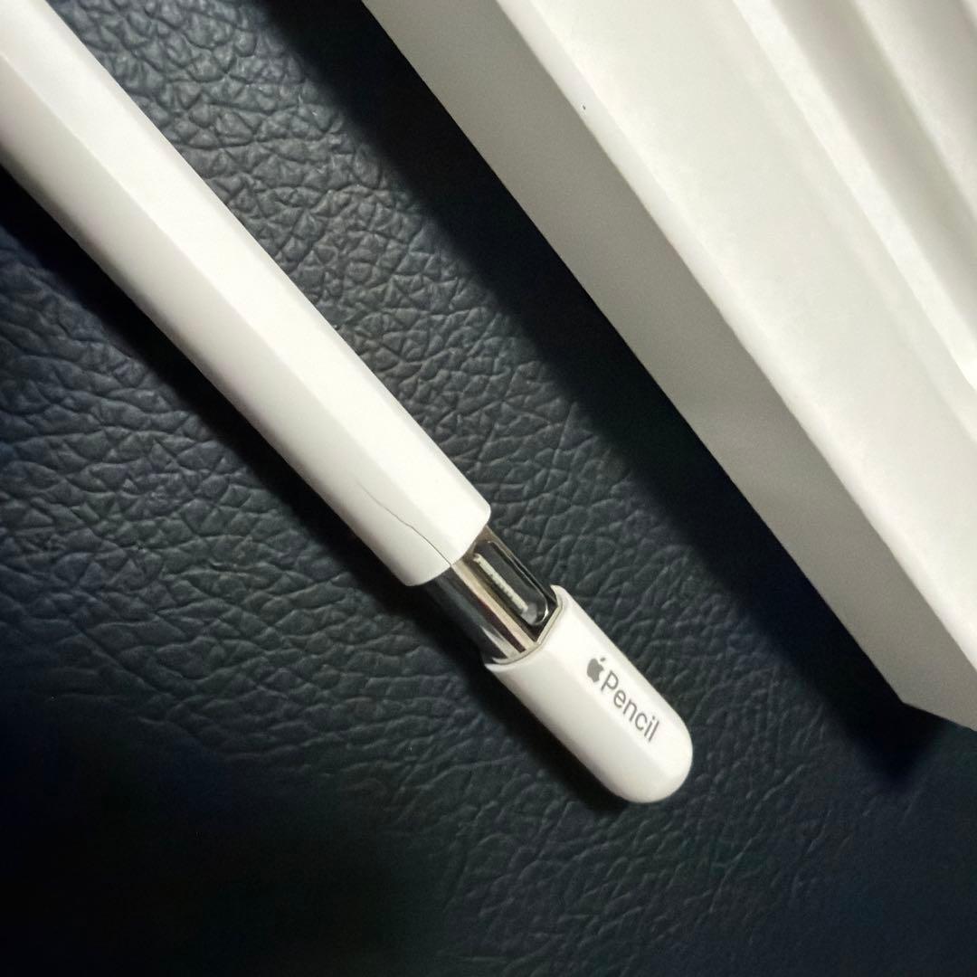 Apple Pencil (USB-C) ホワイト 専用ケース付き