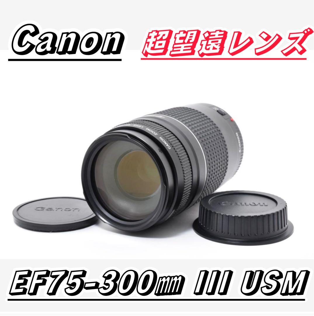 超望遠レンズ スポーツ観戦や旅行 Canon EF75-300㎜ III USM
