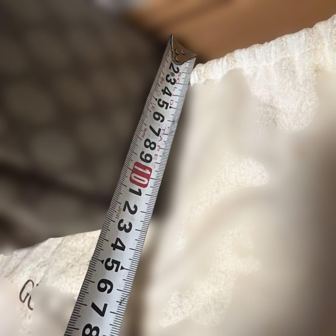 Gucci GGパターン ボストンバッグ 鑑定済み