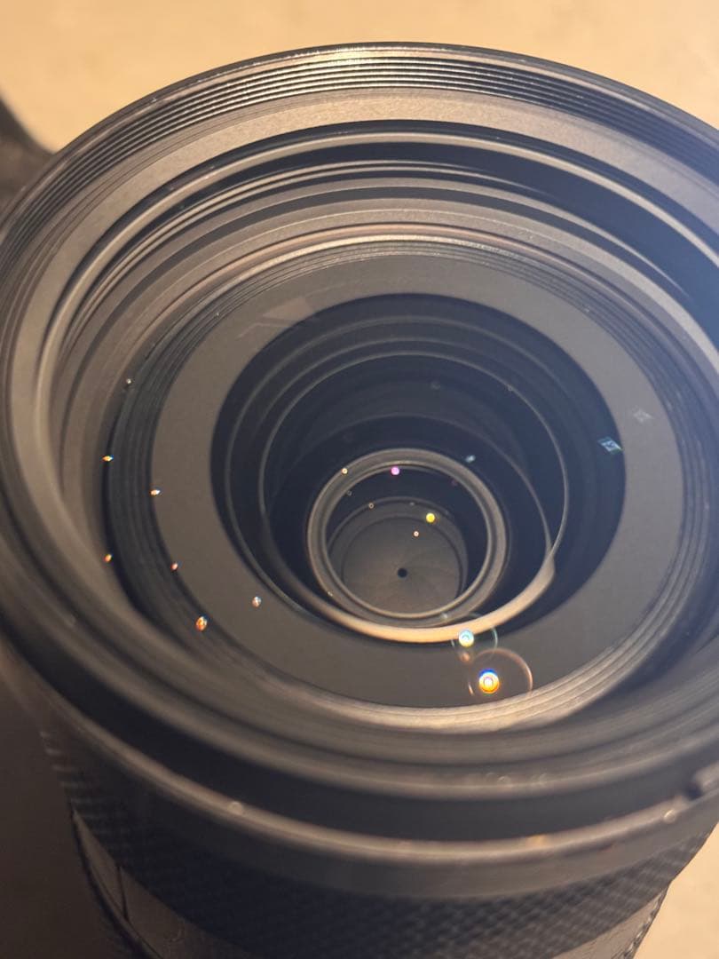 新春SIGMA 24-70mm F2.8 DG DN Art Sony a7Ⅲ