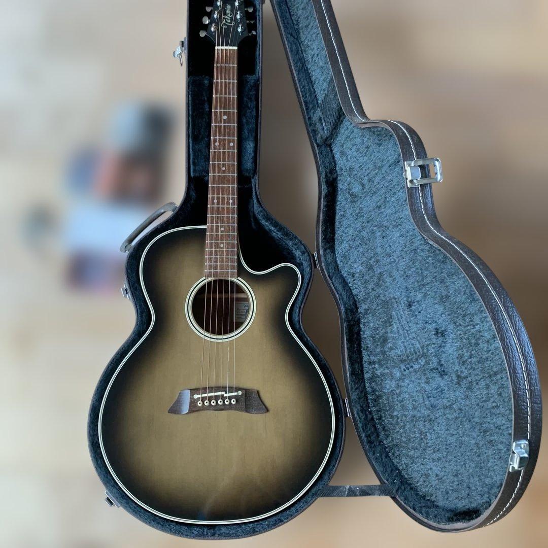 Takamine アコースティックギター PT-106