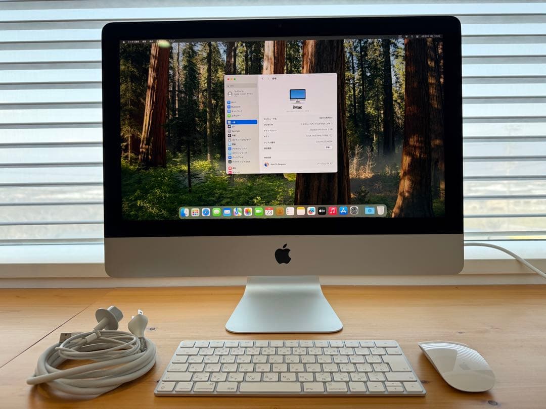 iMac Retina 4K 21.5インチ 2019, 1TB SSD