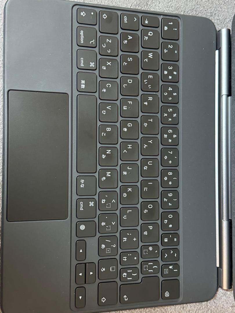 iPad本体 @kahopoyo