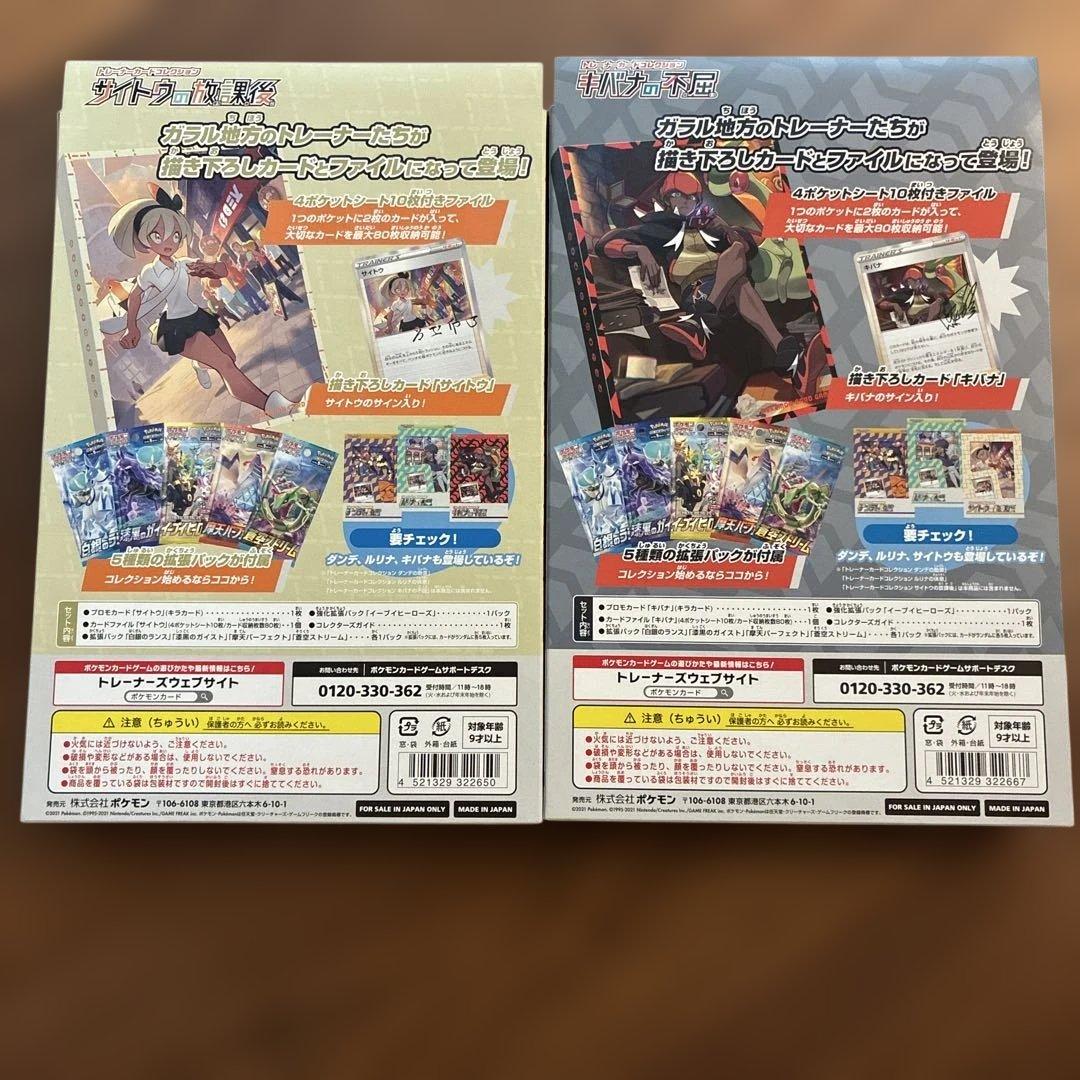 サイトウの放課後 キバナの不屈