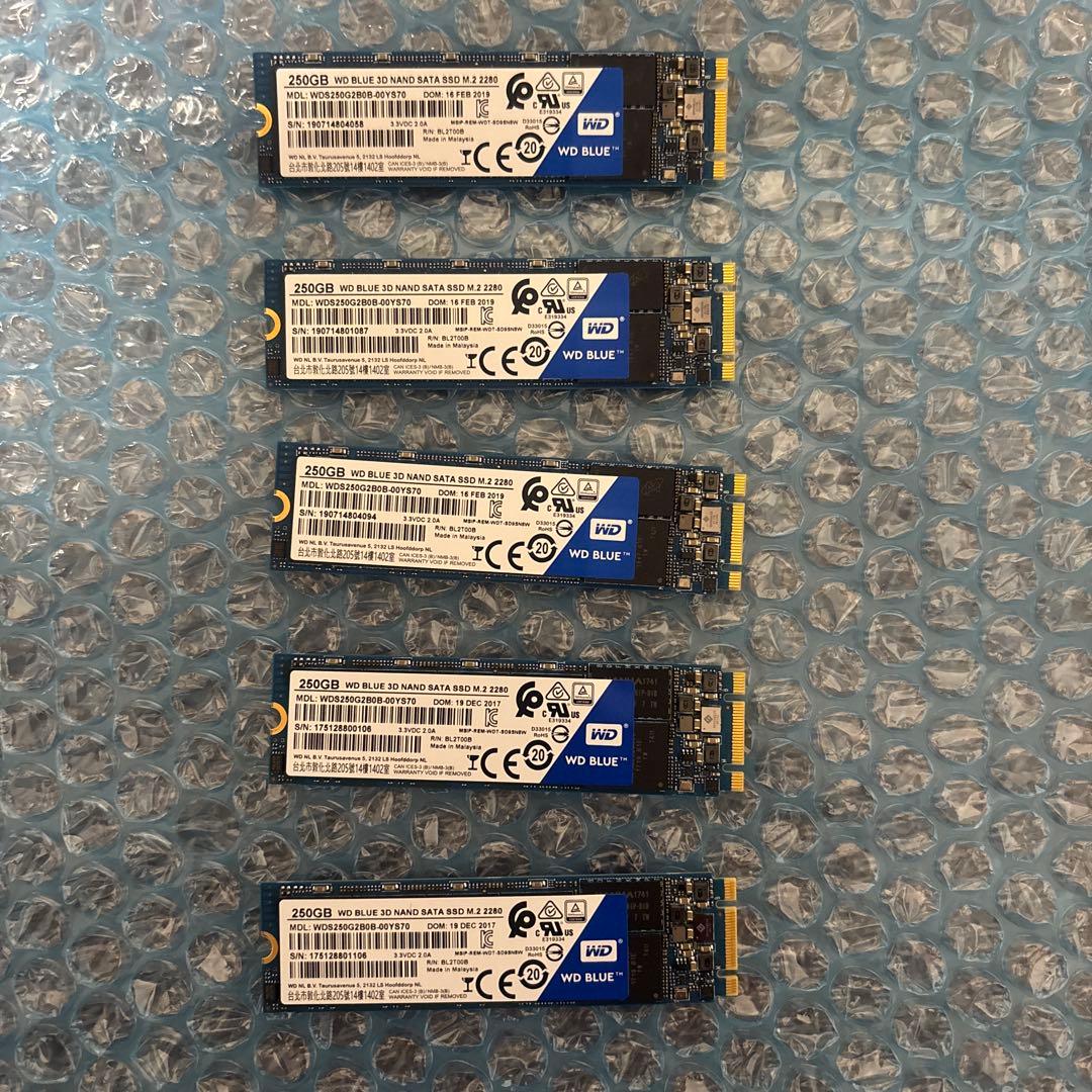 ①WD BLUE 3D NAND SATA SSD 250GB×5