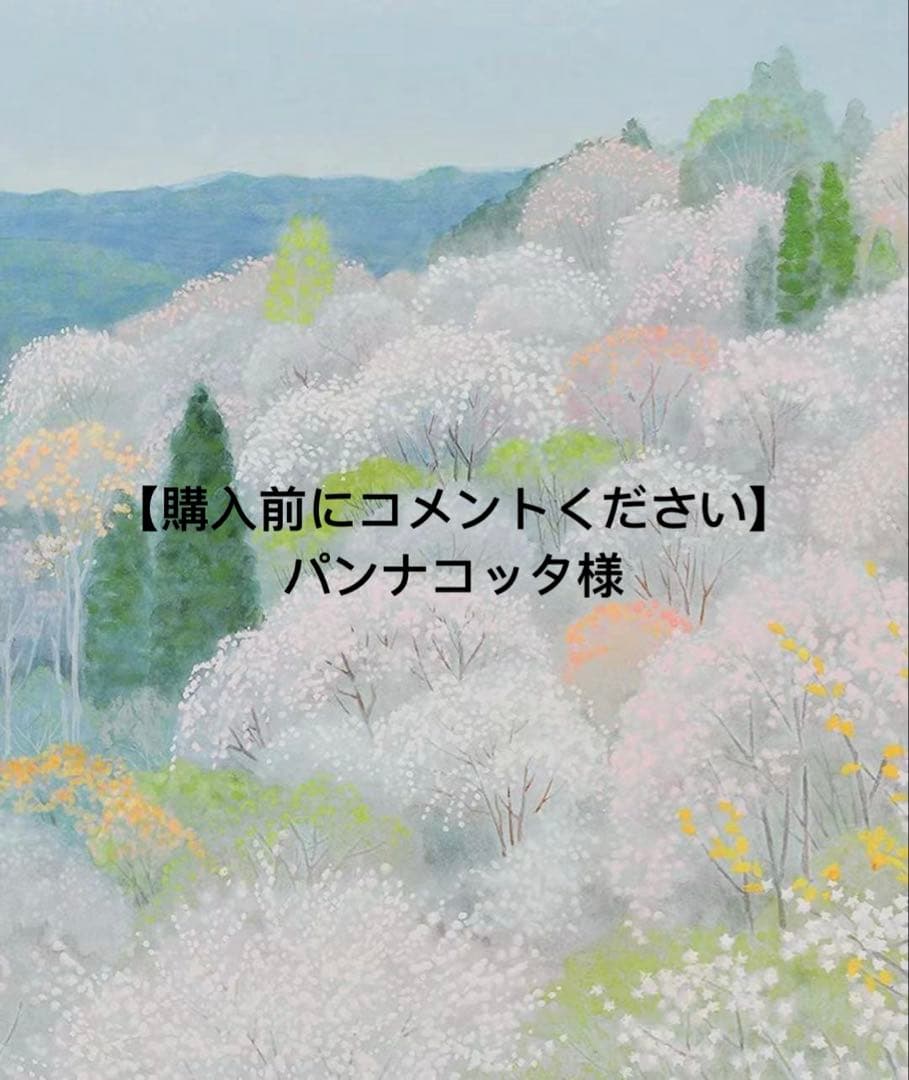 【購入前にコメントください】パンナコッタ　詳細必読