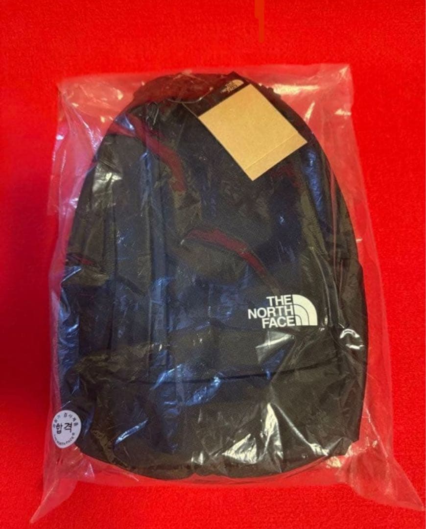 韓国限定　ノースフェイスクロスバック ボディバッグ スポーツワンウェイ