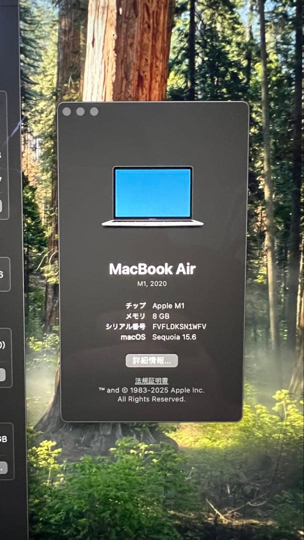 MacBook本体 Apple MacBook Air M1 8GB 256GB