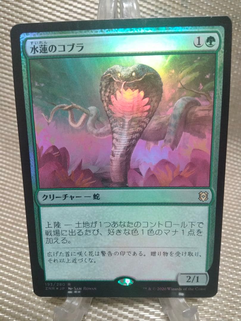 【ご確認用】ゼンディカーの夜明け foil 水蓮のコブラb 日本語 1枚　MTG