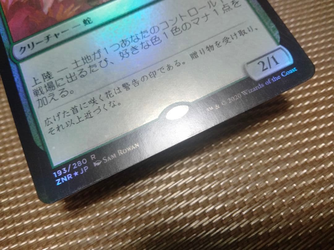 【ご確認用】ゼンディカーの夜明け foil 水蓮のコブラb 日本語 1枚　MTG