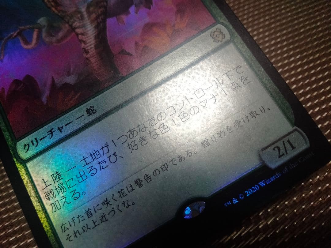 【ご確認用】ゼンディカーの夜明け foil 水蓮のコブラb 日本語 1枚　MTG