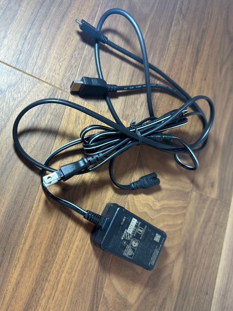 だ*ち様 ソニー ハンディカム FDR-AX45 【美品】