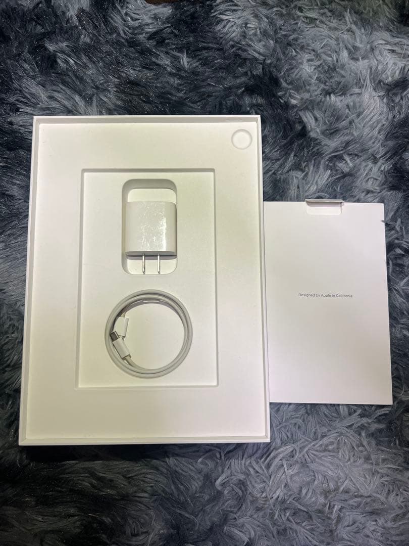 iPadPro11インチ 第1世代