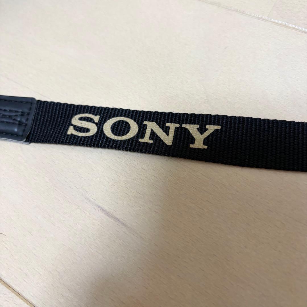 SONY DSC-HX100V デジタルカメラ