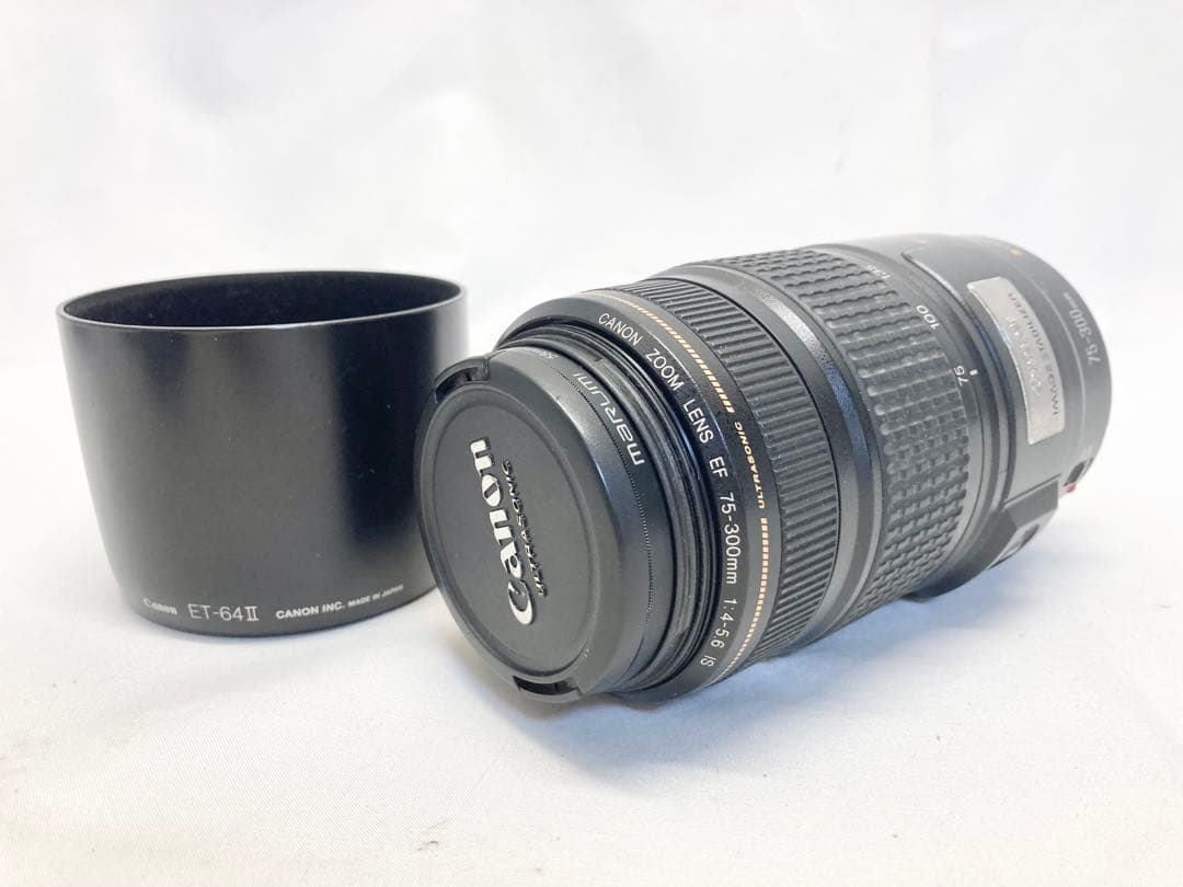 Canon キャノン ズームレンズ EF 75-300mm 1:4-5.6 IS