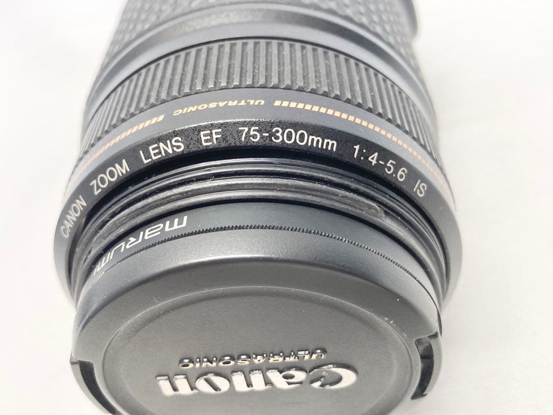 Canon キャノン ズームレンズ EF 75-300mm 1:4-5.6 IS