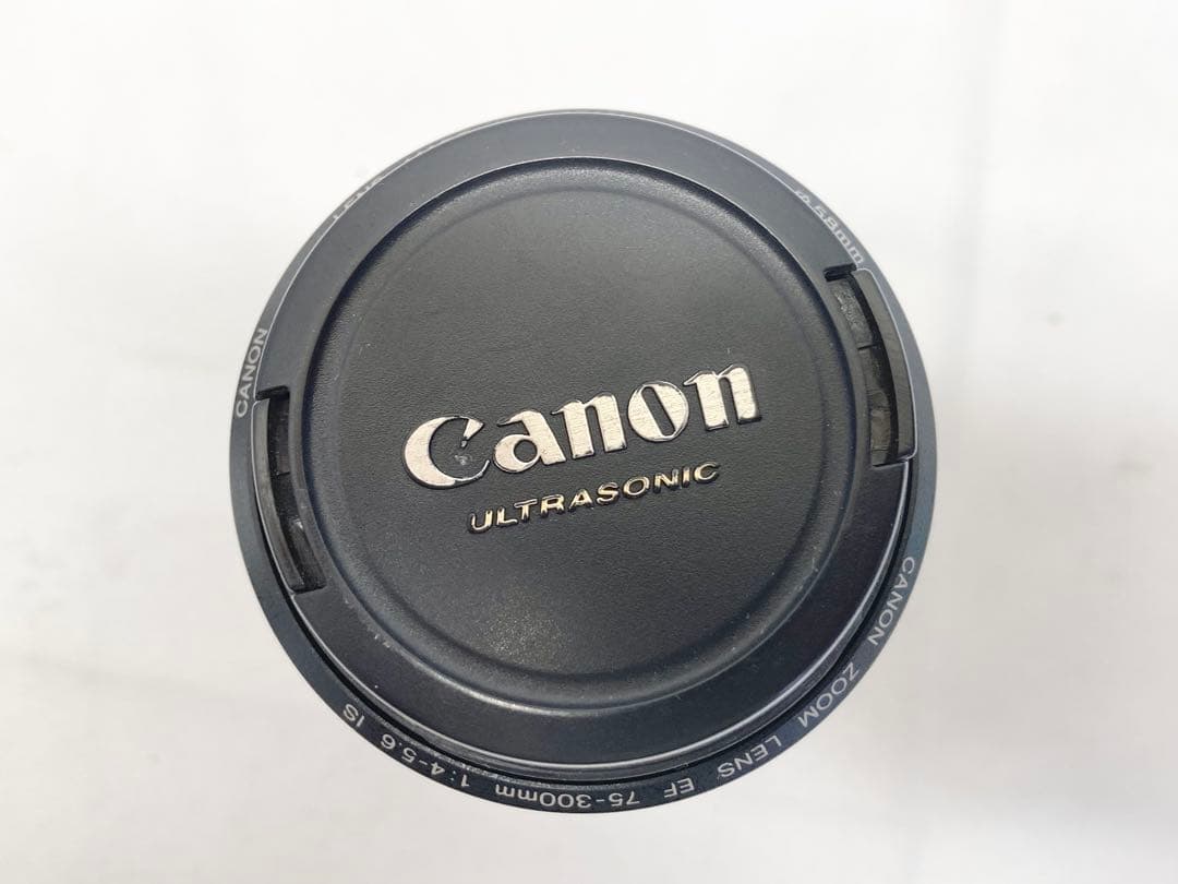 Canon キャノン ズームレンズ EF 75-300mm 1:4-5.6 IS
