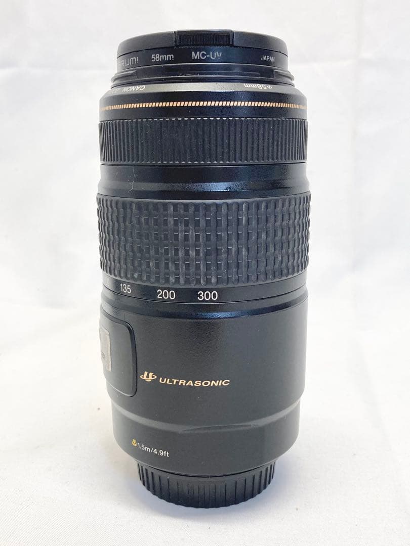 Canon キャノン ズームレンズ EF 75-300mm 1:4-5.6 IS