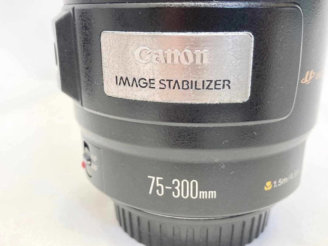 Canon キャノン ズームレンズ EF 75-300mm 1:4-5.6 IS
