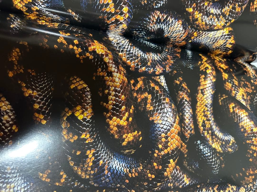 K*N様 SERPENS Guido Mocafico