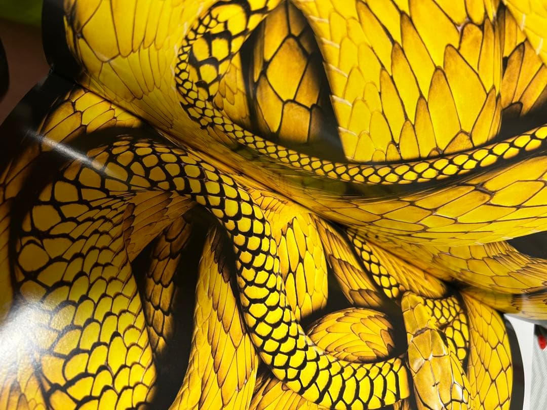 K*N様 SERPENS Guido Mocafico