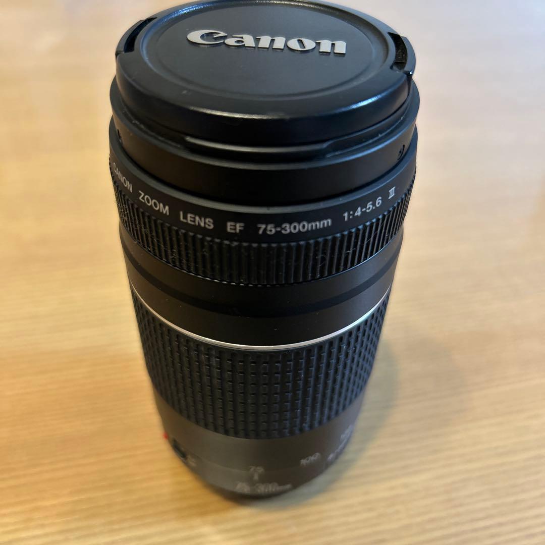 Canon レンズ☆キヤノン☆Canon EF 75-300㎜