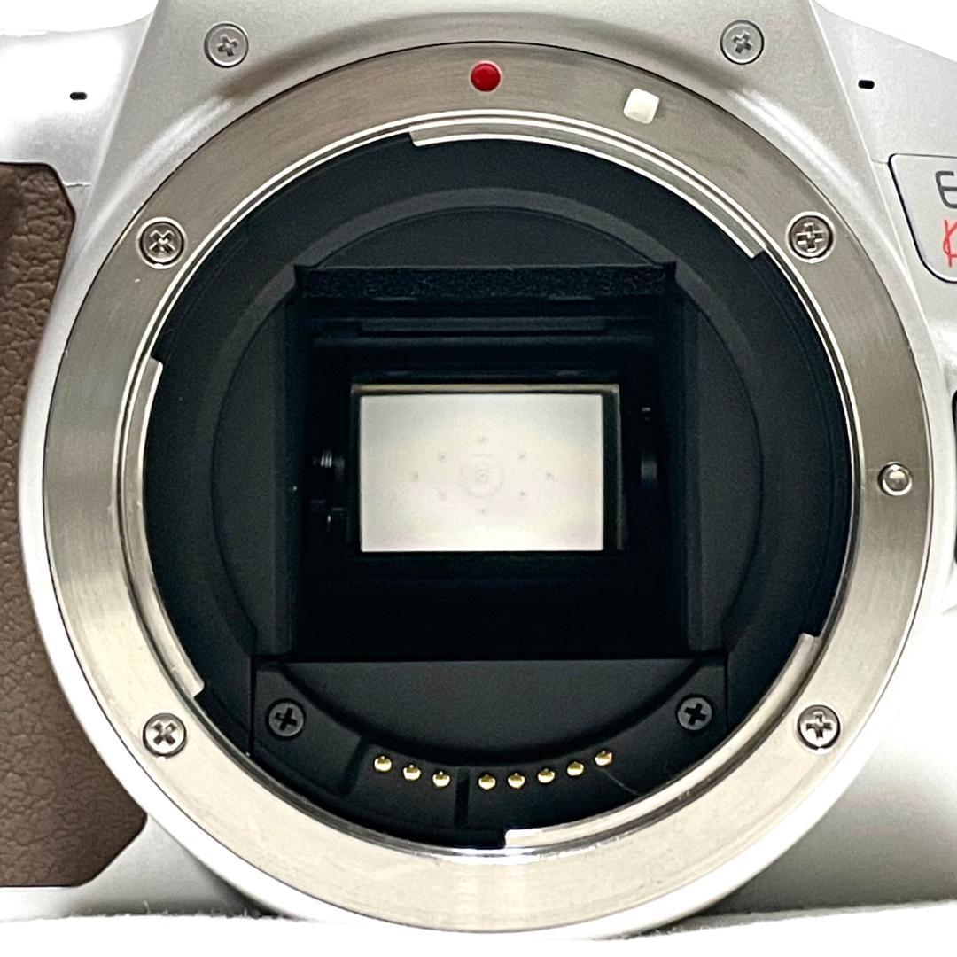 高性能で軽い ❣️Canon EOS Kiss X10 シルバー 標準レンズ