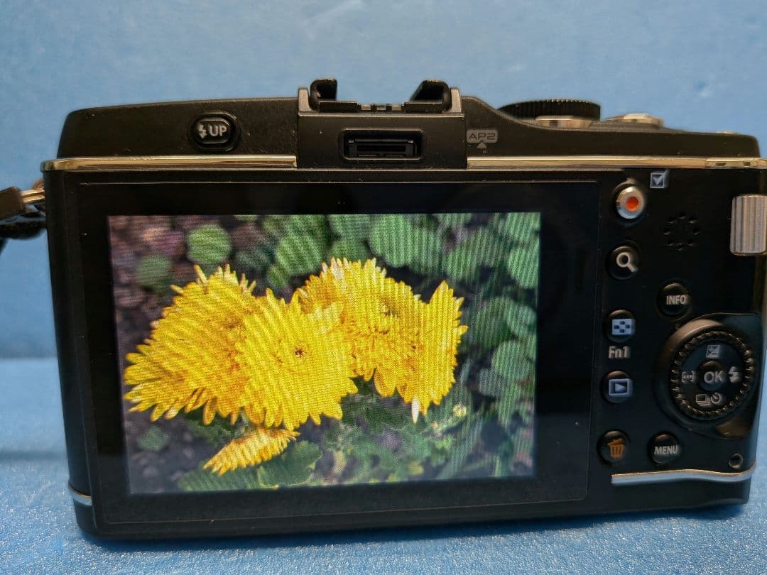 【極上・買得】 TTArtisan 35mm f/1.4 　M4/3マウント