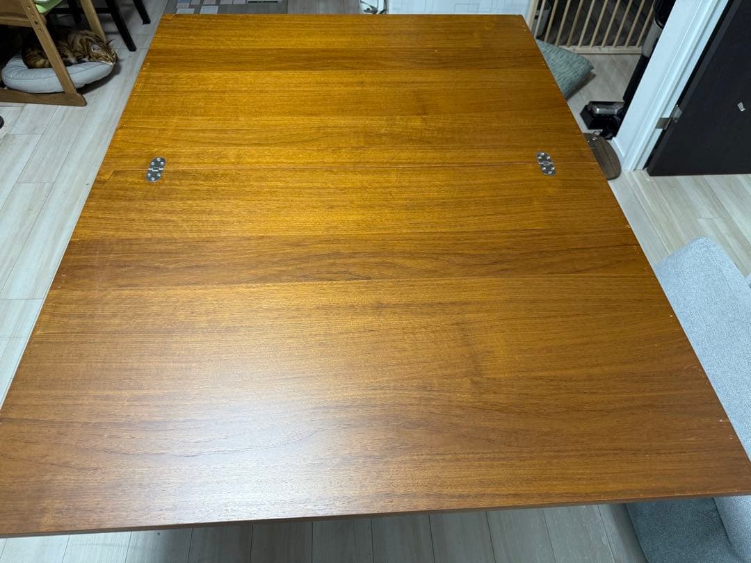 【フロイト】カリガリス・テーブル（3/3）