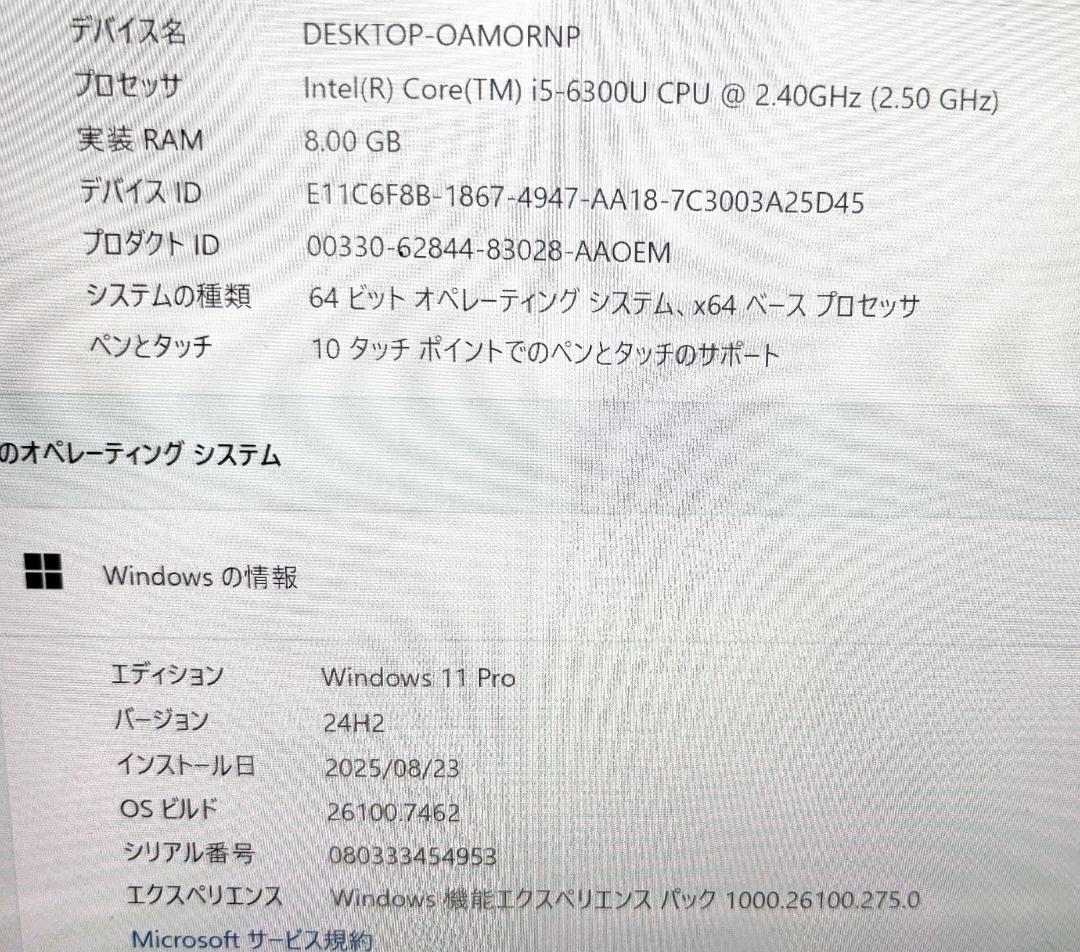 鳥*二様 SurfacePro1724 ノートPC, Win11, Office