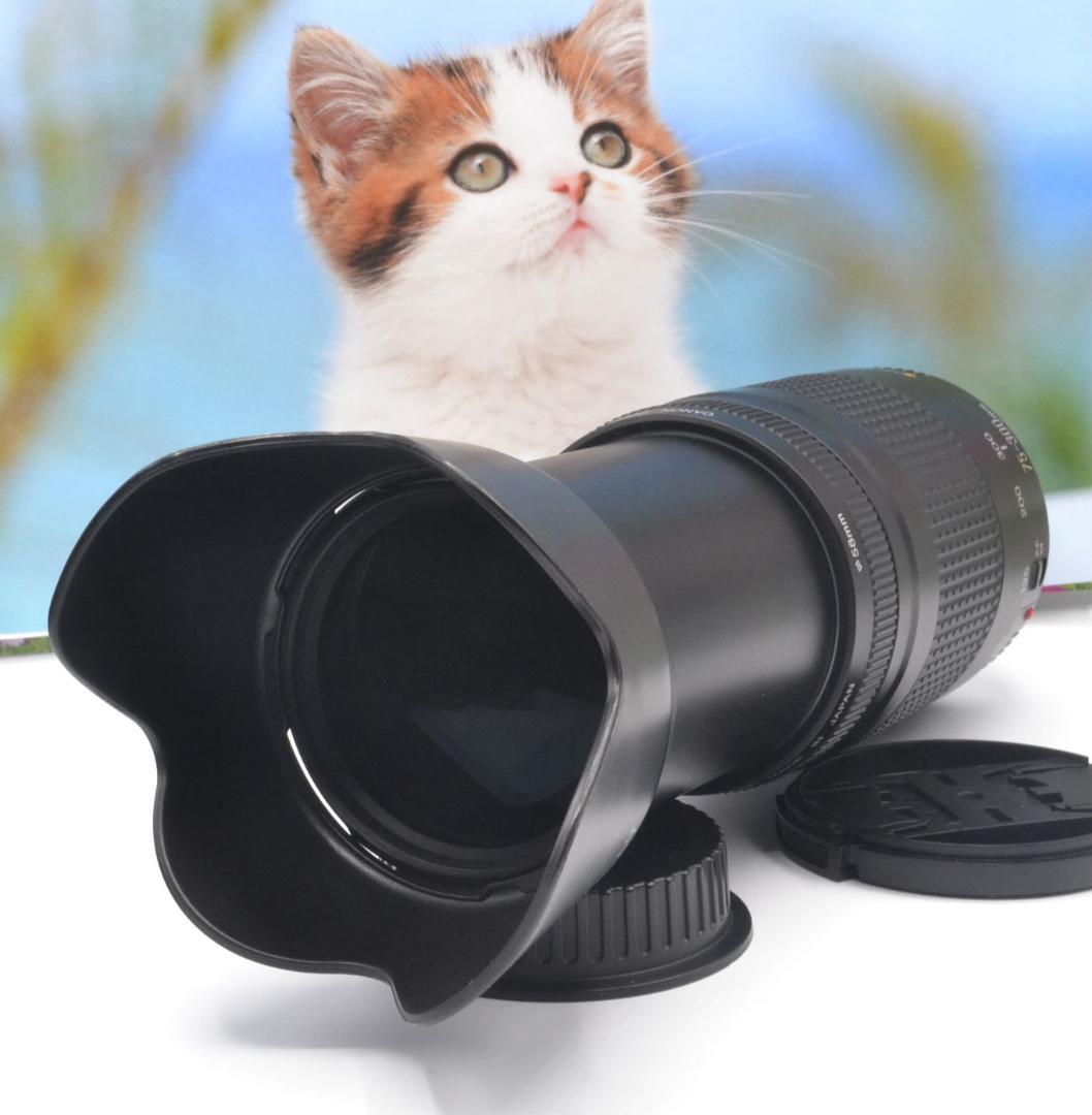 最高の瞬間を望遠で！ Canon キヤノン 望遠レンズ EF75-300mm＃⑧