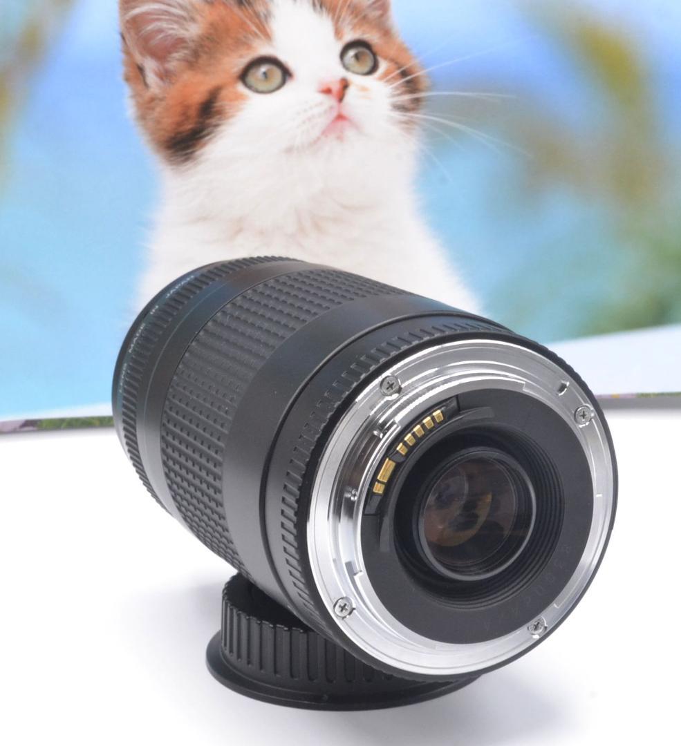 最高の瞬間を望遠で！ Canon キヤノン 望遠レンズ EF75-300mm＃⑧