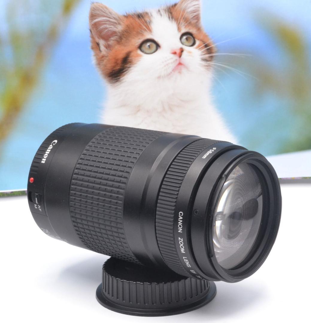 最高の瞬間を望遠で！ Canon キヤノン 望遠レンズ EF75-300mm＃⑧