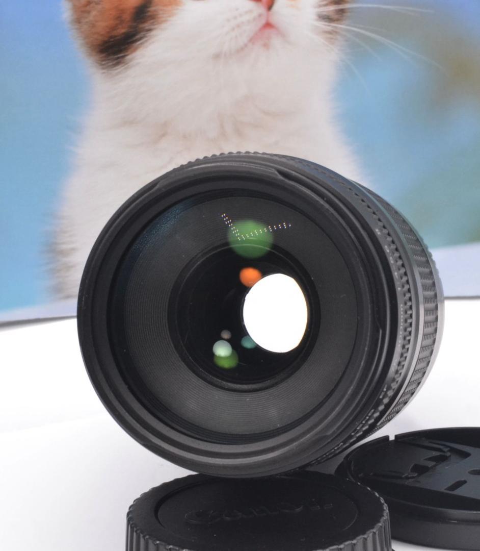 最高の瞬間を望遠で！ Canon キヤノン 望遠レンズ EF75-300mm＃⑧