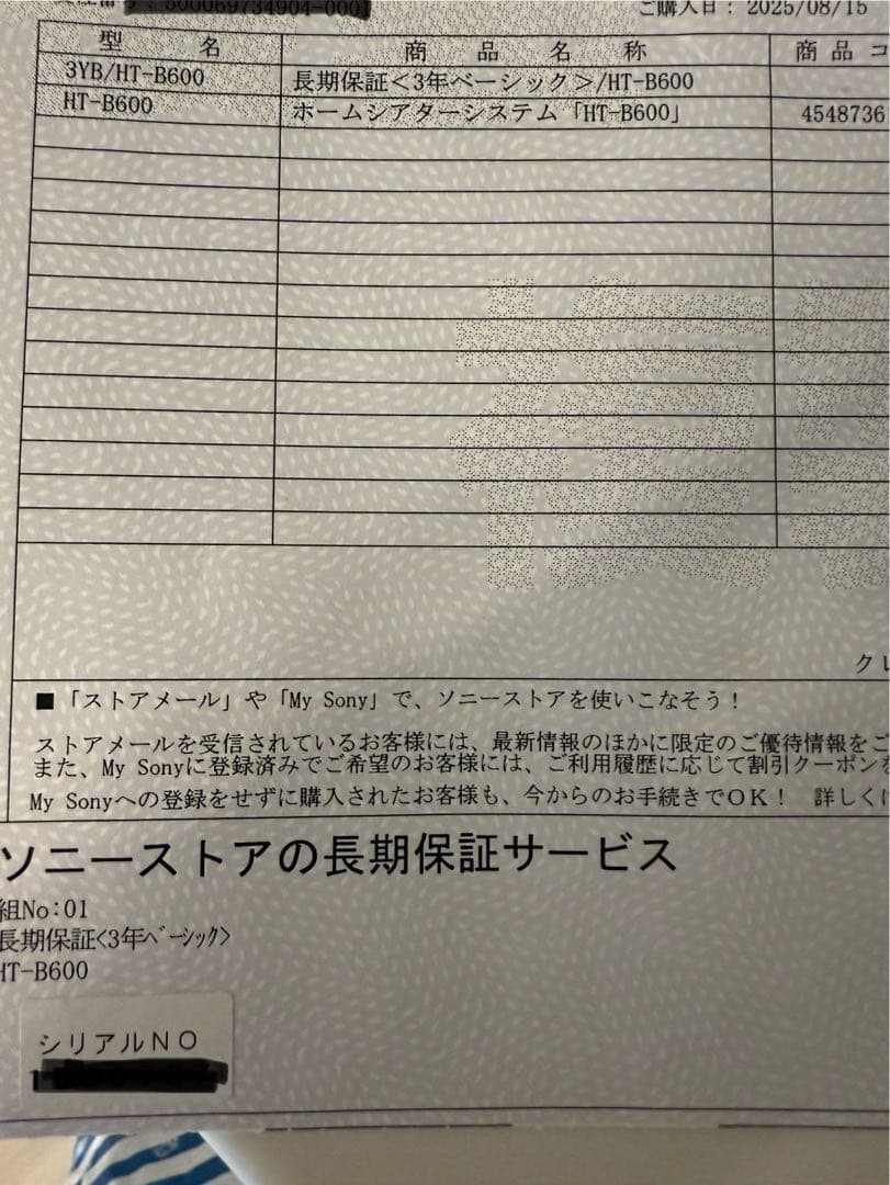 SONY HT-B600 サウンドバー　ヘッポコ蕎麦屋　専用