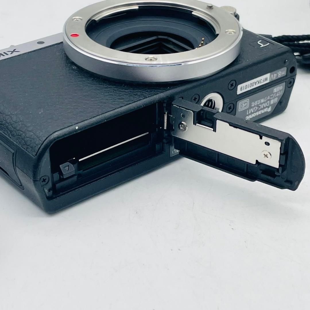 【美品動作確認済み】Panasonic LUMIX DMC-GM1
