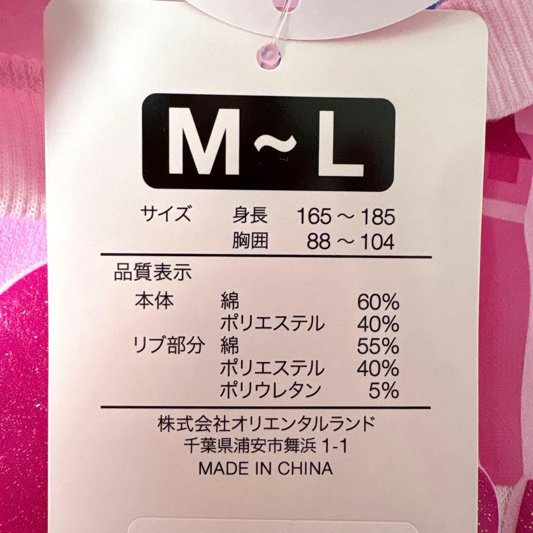 ディズニー　ミニーのファンダーランド　トレーナー　ミニパル　パルパルーザ