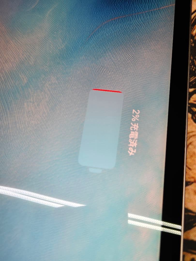 iPad Pro11 256gb 2018 Wi-Fi+Cellularジャンク