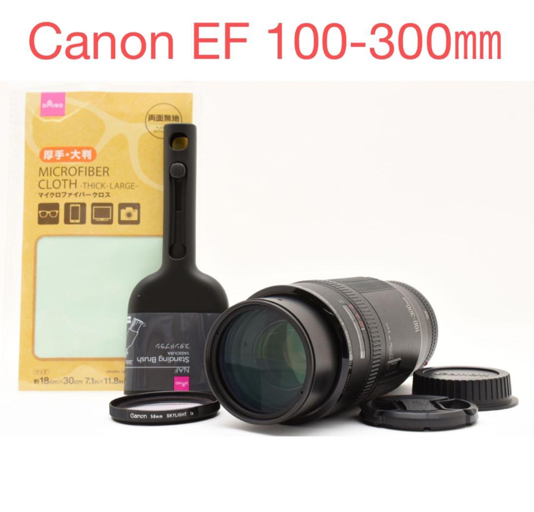望遠レンズCanon ZOOM LENS EF100-300mm 1:5.6