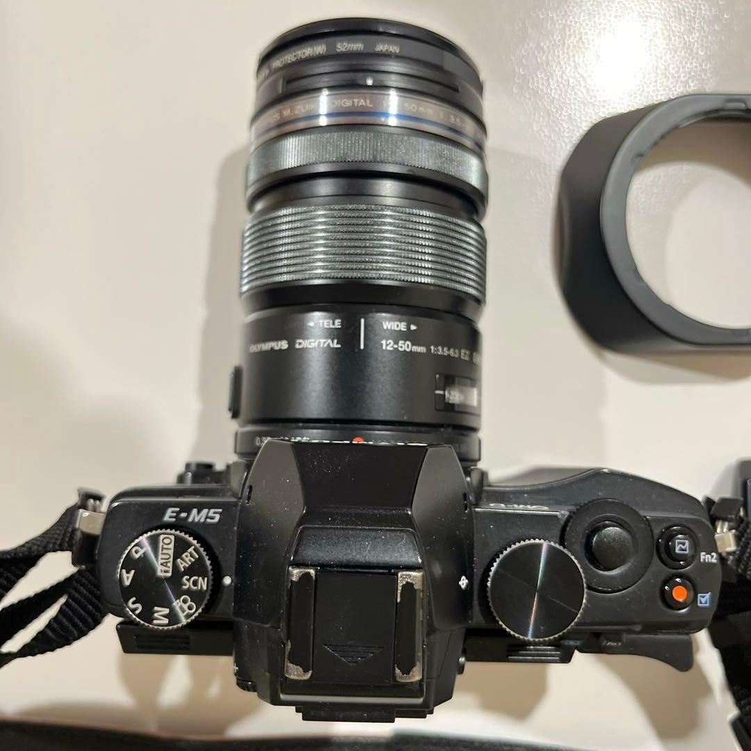 【動作確認済】オリンパス OM-D EM-5 ボディ＋付属品+ホルダー