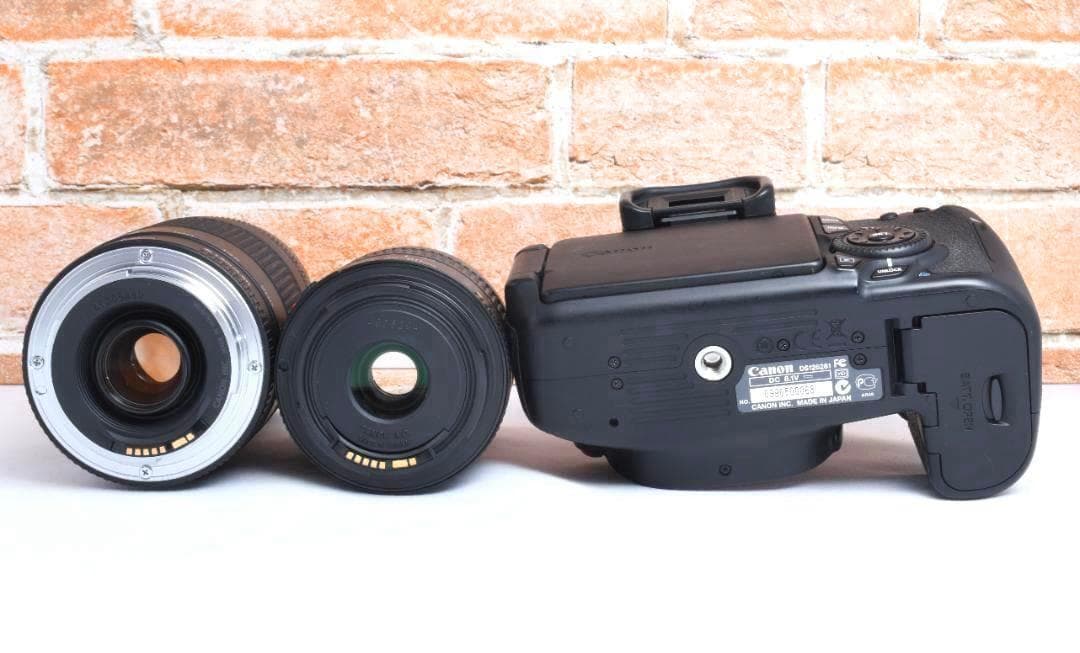 超望遠レンズ✨Canon EOS 60D✨ダブルレンズセット✨高画質