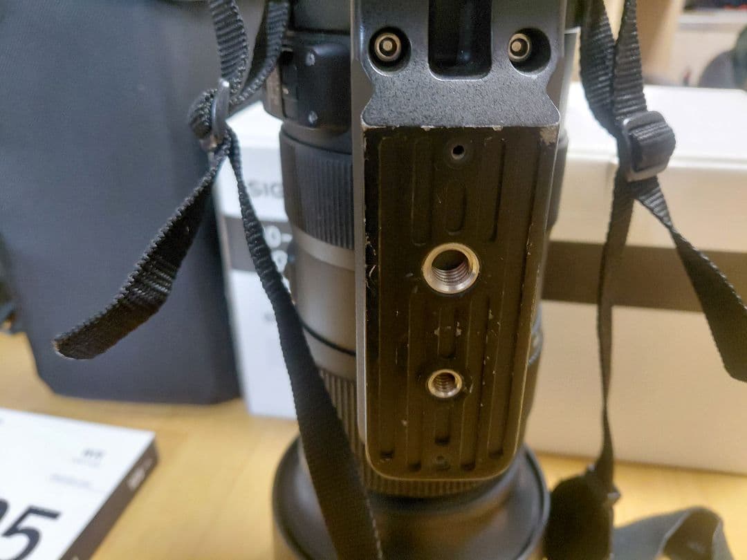 しょうSIGMA 60-600mm F4.5-6.3 DG OS HSM