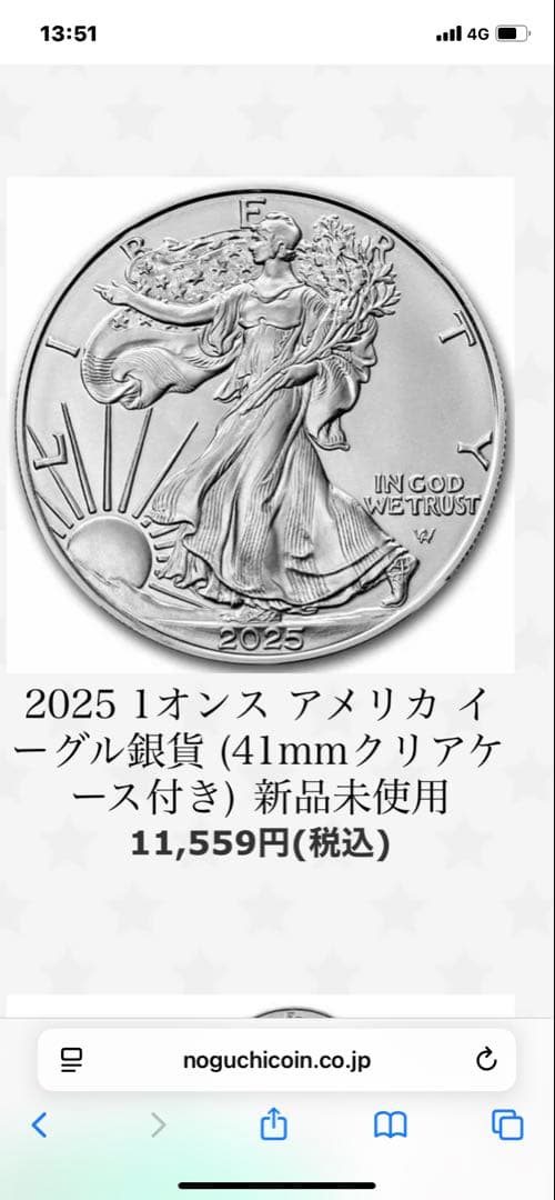 PCGS NCG アンティーク　銀貨　イーグル銀貨